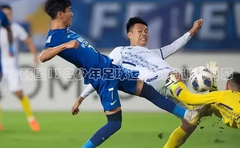 MKsport官网下载入口雷柏科技：韩国13名少年足球运动员的训练内幕
