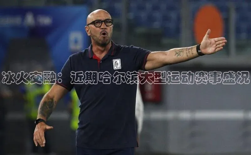 mksports官网极氪智能科技冰火交融：近期哈尔滨大型运动赛事盛况