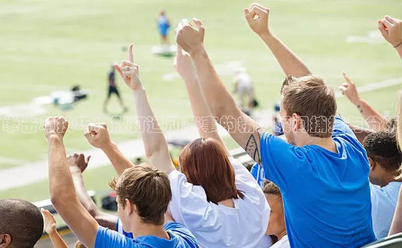 拳击与技巧：散打运动赛事的精彩瞬间捕捉与分析