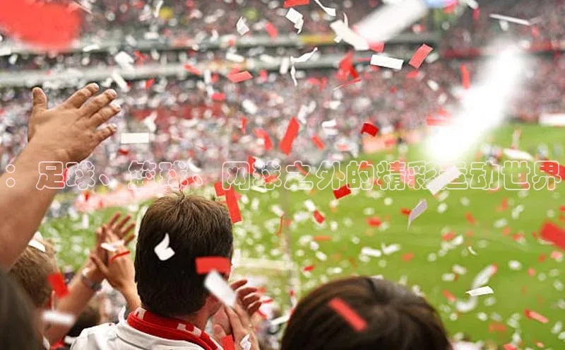 ：足球、篮球、网球之外的精彩运动世界