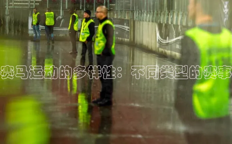 赛马运动的多样性：不同类型的赛事