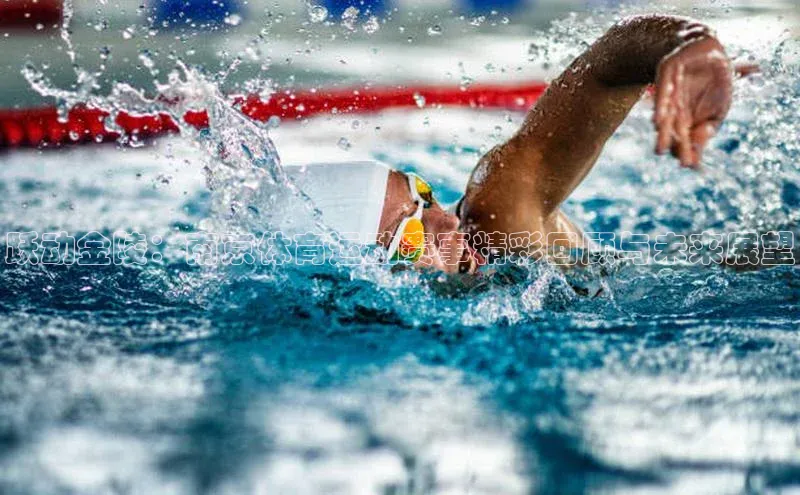 跃动金陵：南京体育运动赛事精彩回顾与未来展望