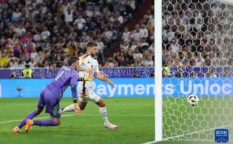 飞跃赛场：热烈迎接2023年度顶级体育盛事