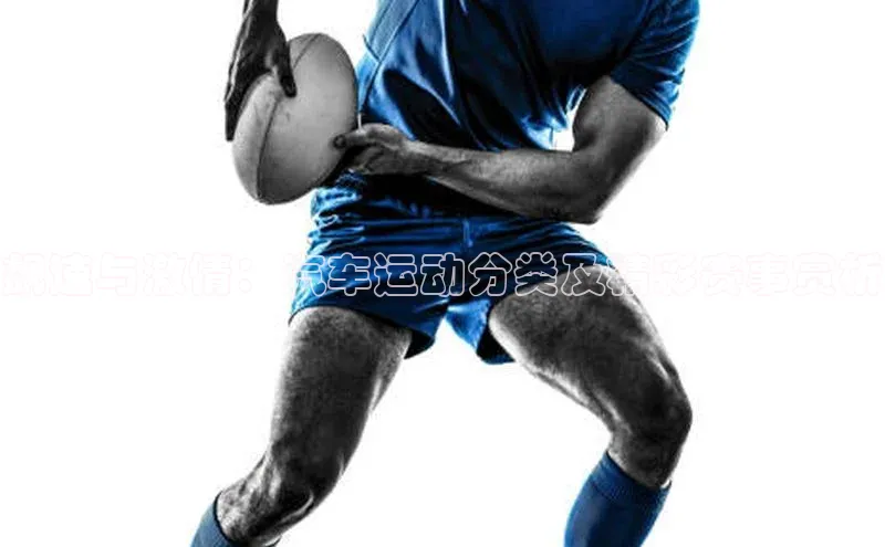 飙速与激情：汽车运动分类及精彩赛事赏析