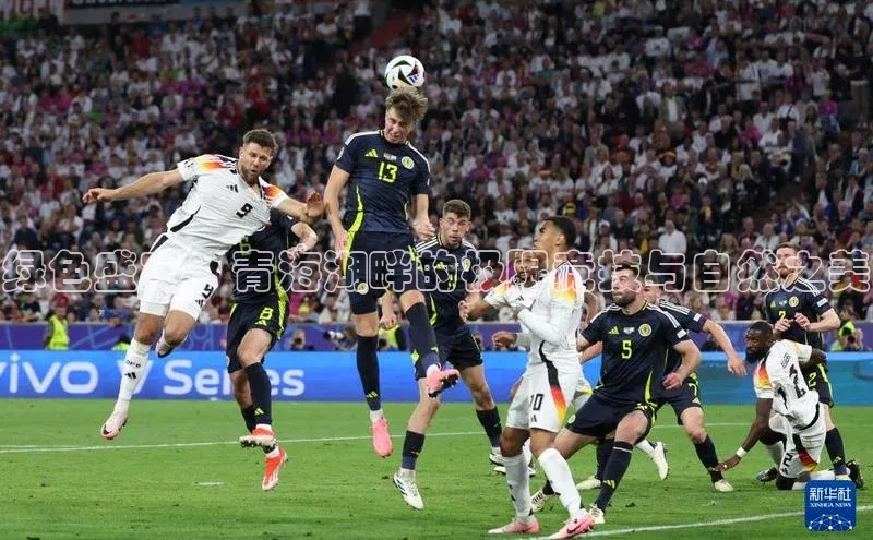 绿色盛宴：青海湖畔的极限竞技与自然之美