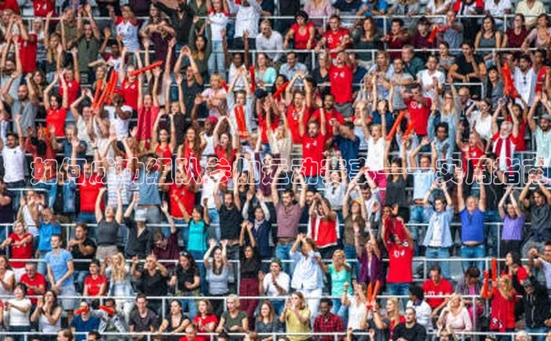 ：如何成功组队参加运动赛事——实用指南