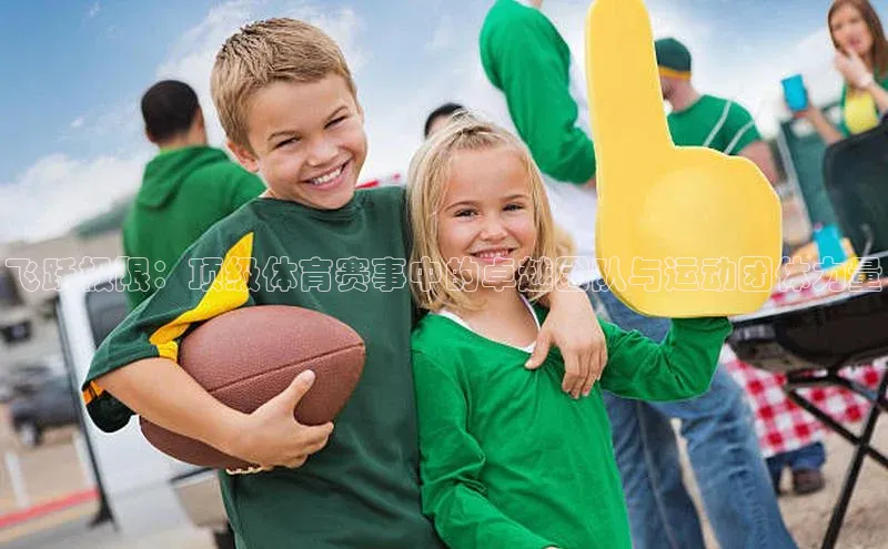 飞跃极限：顶级体育赛事中的卓越团队与运动团体力量