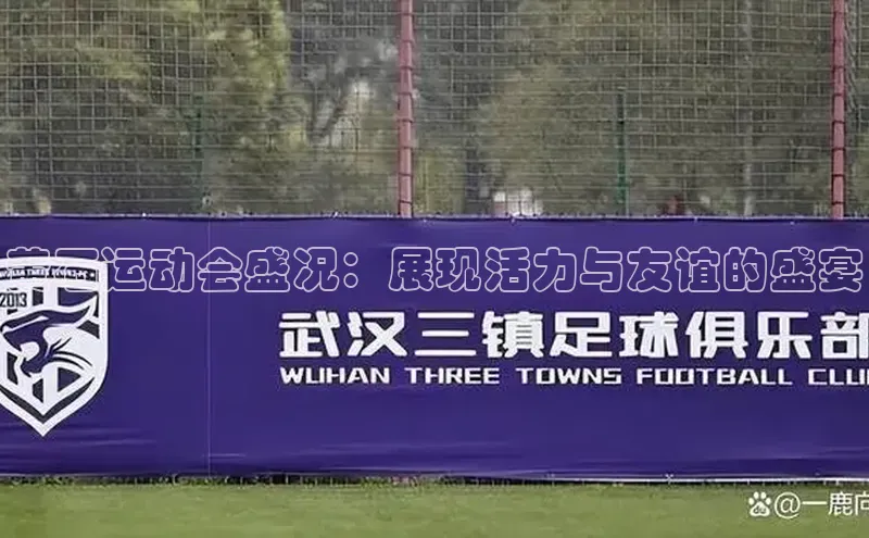 黄石运动会盛况：展现活力与友谊的盛宴