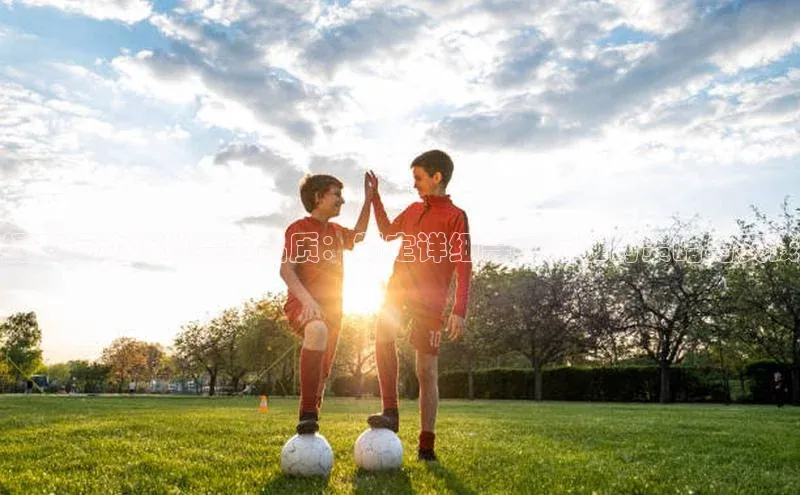 MK体育在线登录入口