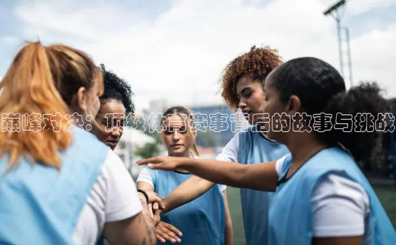 MK体育官方网站入口