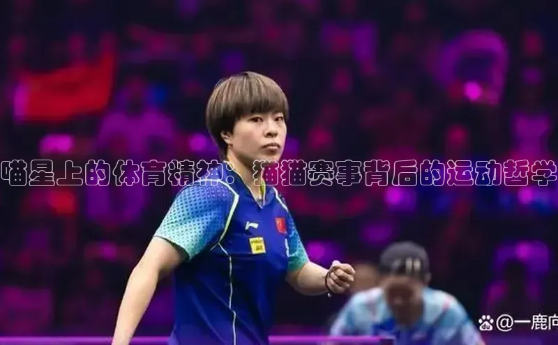 Mksport体育app官网入口