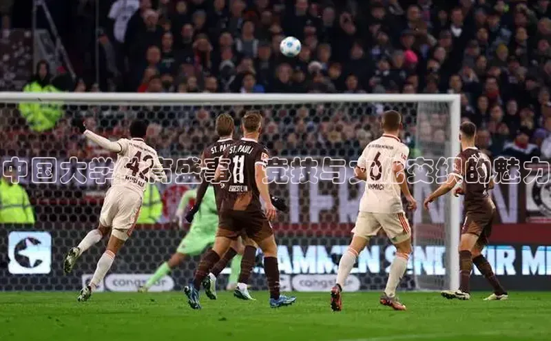 MK体育平台网页版入口