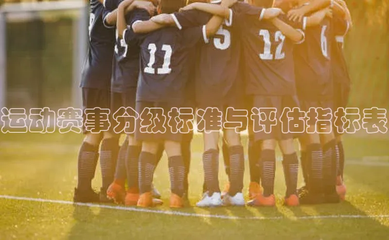 运动赛事分级标准与评估指标表