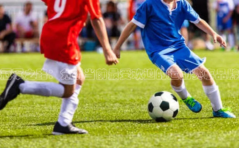 冠军之路：分析当前最受欢迎的运动赛事品牌